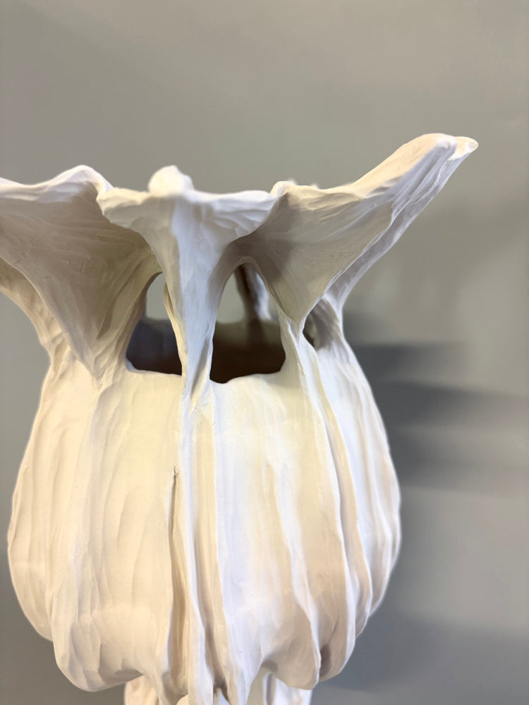 Large Poppy Seed Capsule 1