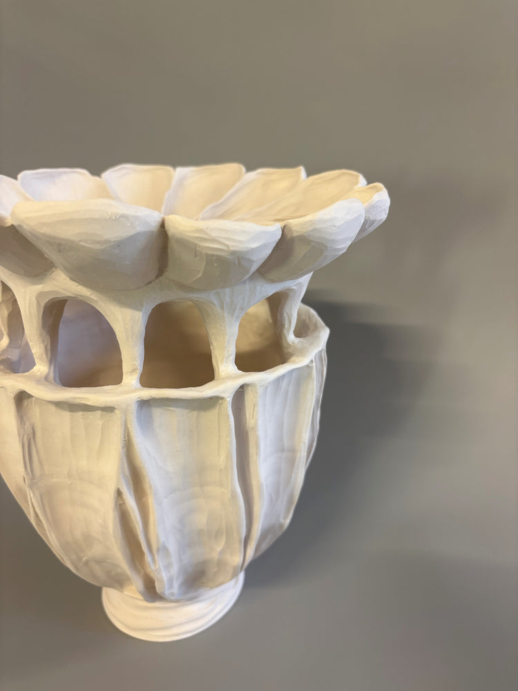 Large Poppy Seed Capsule 2