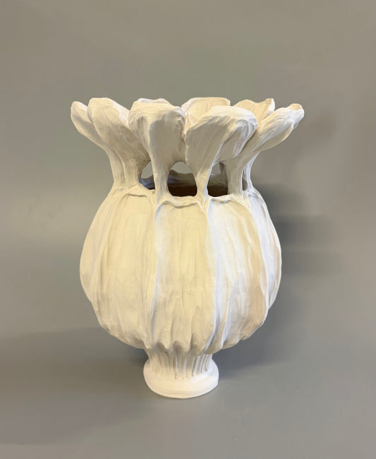 Large Poppy Seed Capsule 4