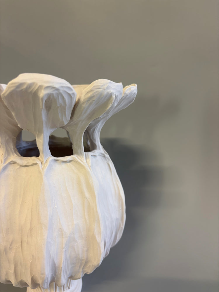 Large Poppy Seed Capsule 4