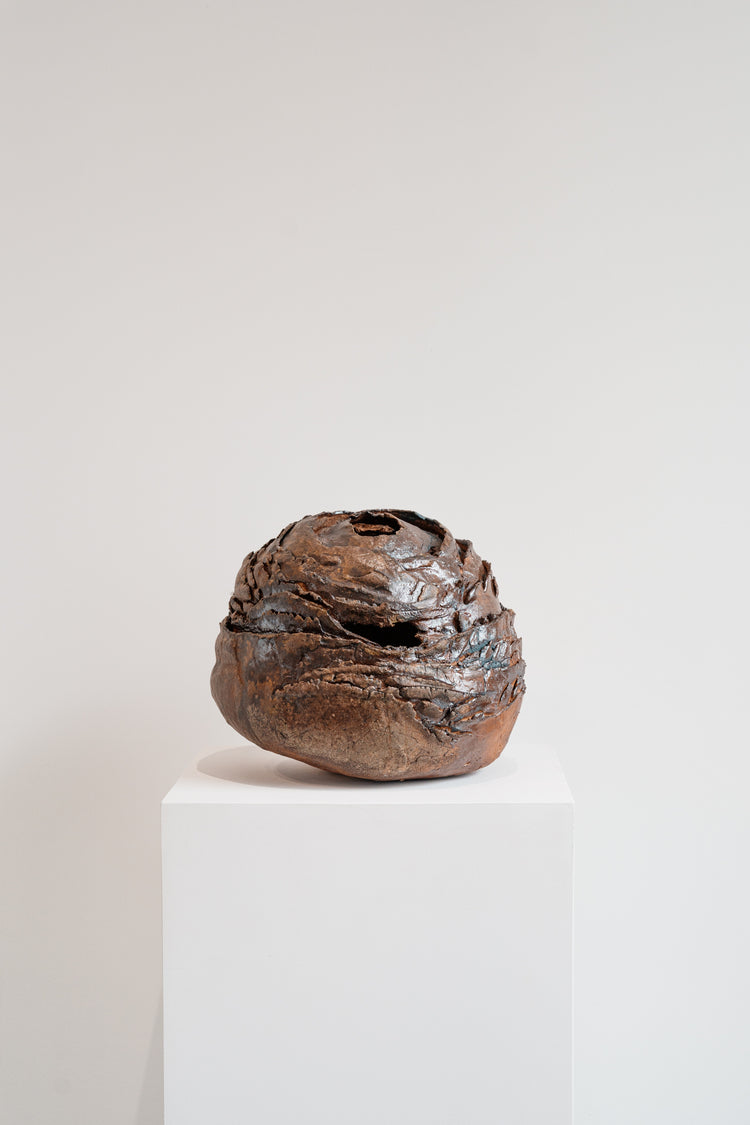 Solitary Nest