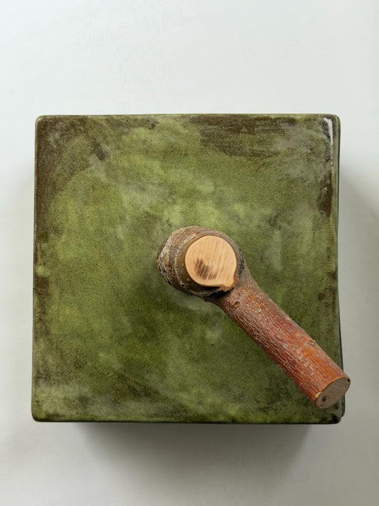 Veriegated Green Box with Twig