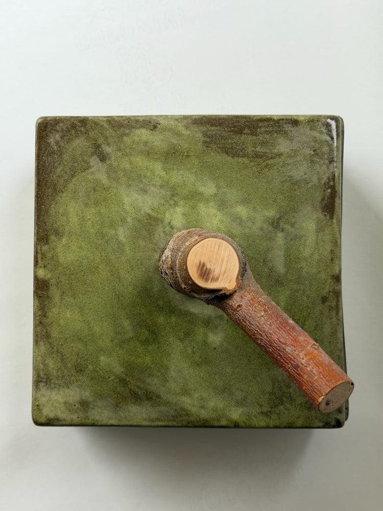 Veriegated Green Box with Twig