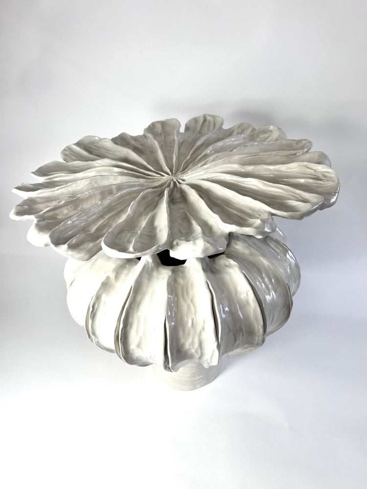 Large Poppy Seed Capsule