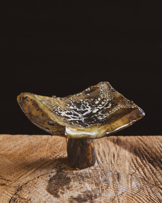 Ritual Tray No. 1