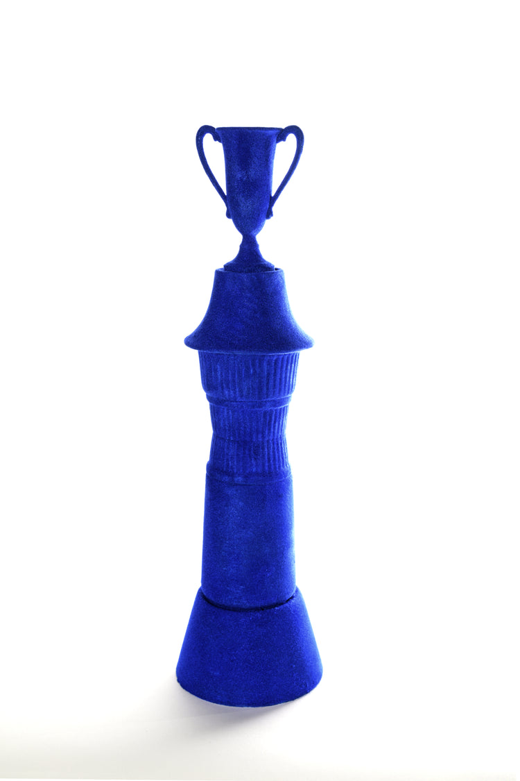 Retrospective Perspectives - The Trophy