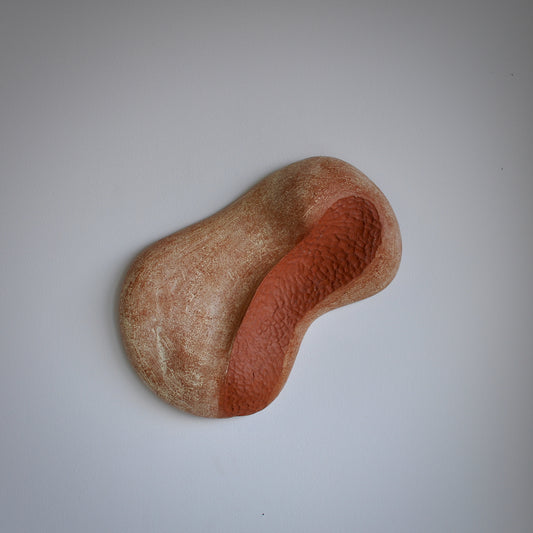 Fossilis no 1