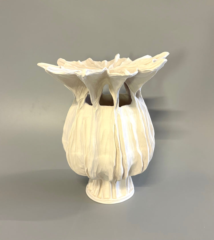 Large Poppy Seed Capsule 1