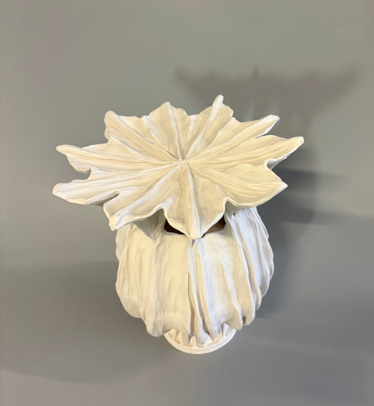 Large Poppy Seed Capsule 1