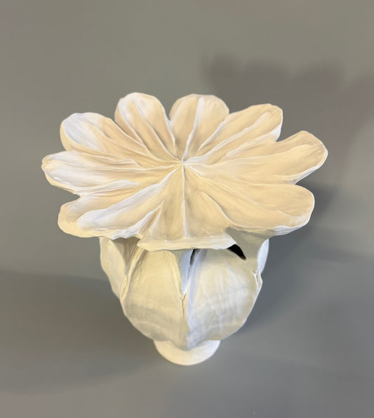 Large Poppy Seed Capsule 3