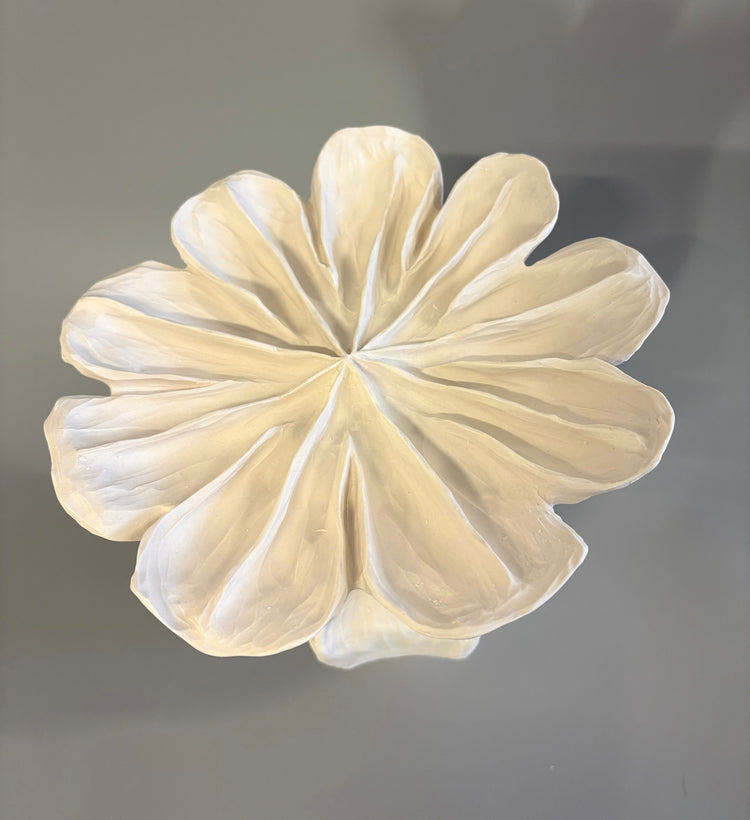 Large Poppy Seed Capsule 3