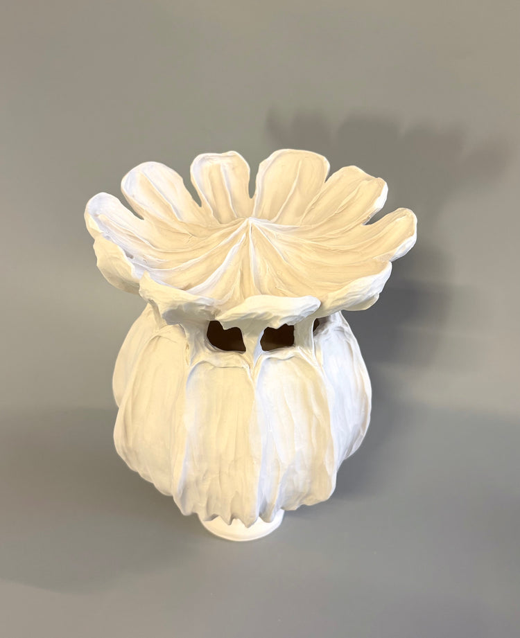 Large Poppy Seed Capsule 4