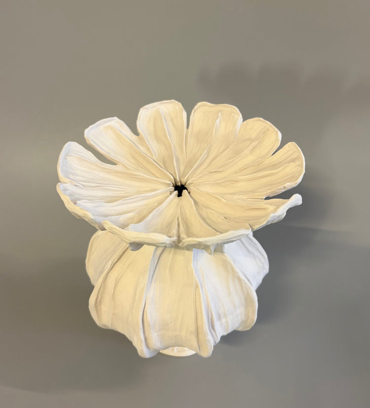 Medium Poppy Seed Capsule