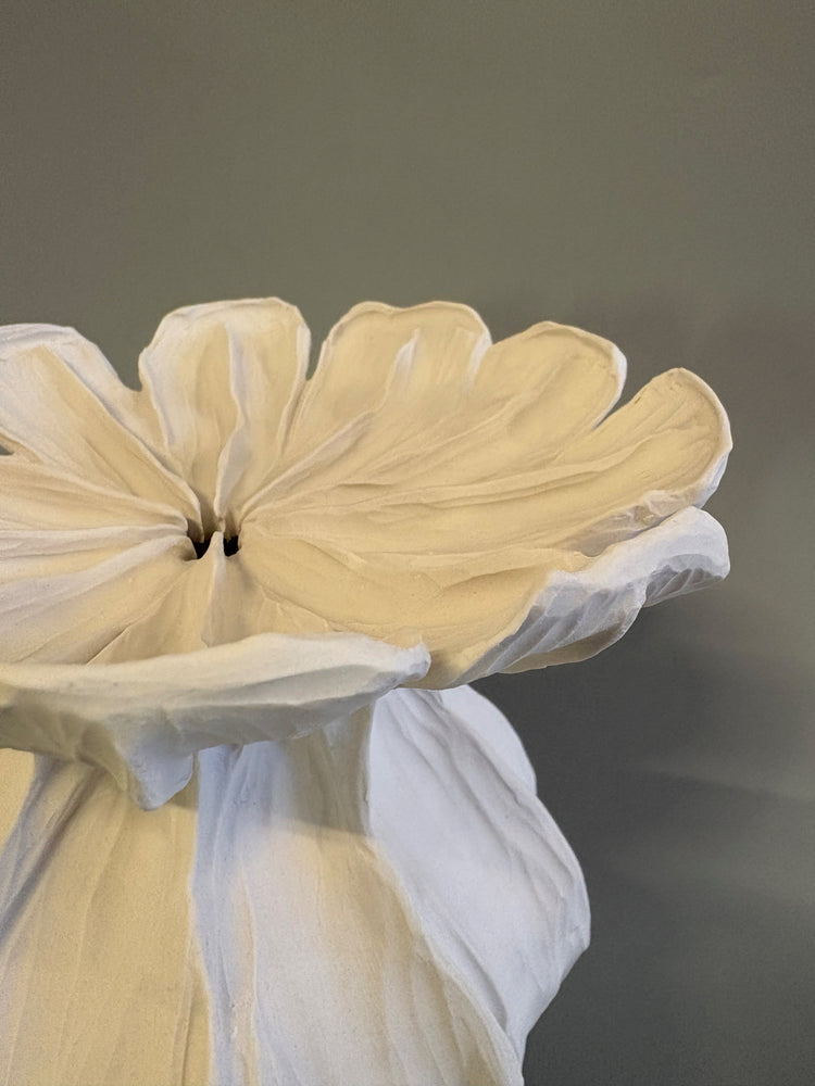 Medium Poppy Seed Capsule