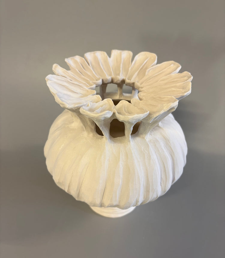 Small Poppy Seed Capsule