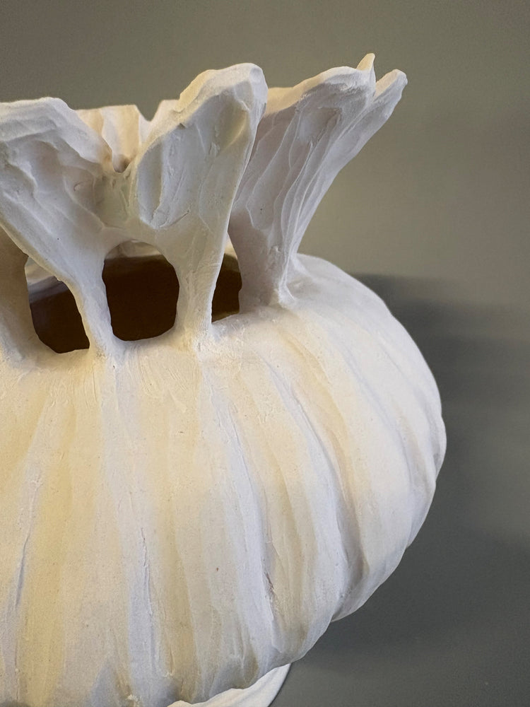 Small Poppy Seed Capsule