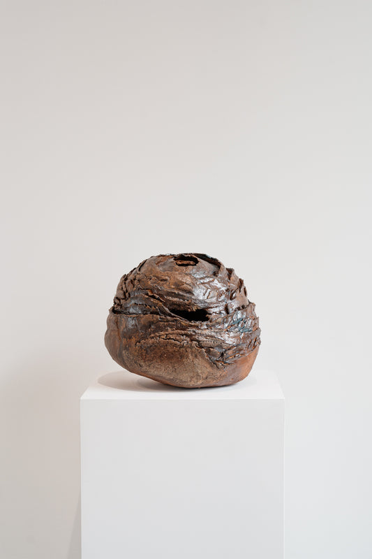 Solitary Nest