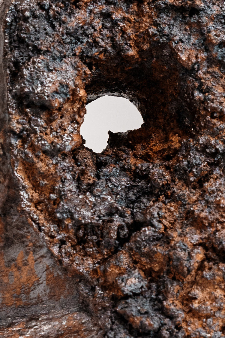 Symbiotic Lichen