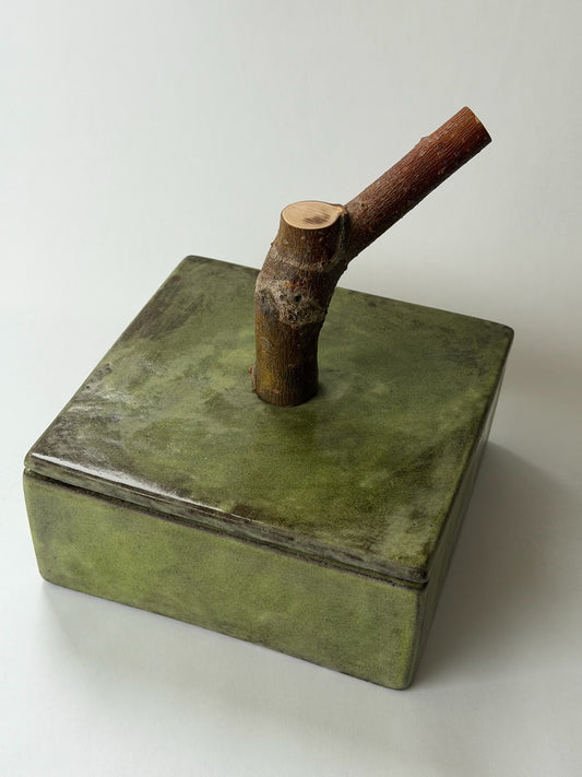 Veriegated Green Box with Twig