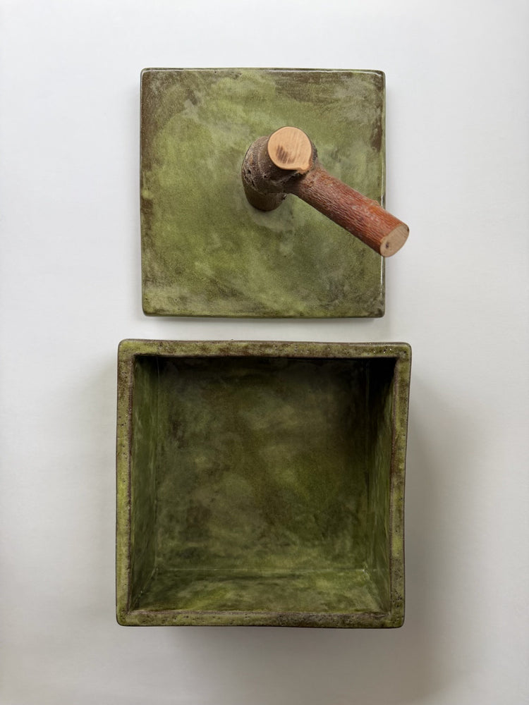 Veriegated Green Box with Twig