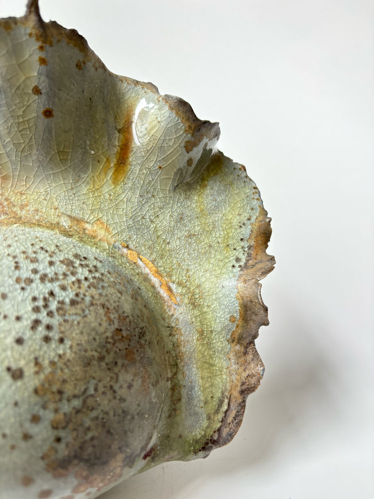 Ash Bloom No. 6