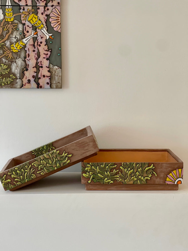 Collection Box