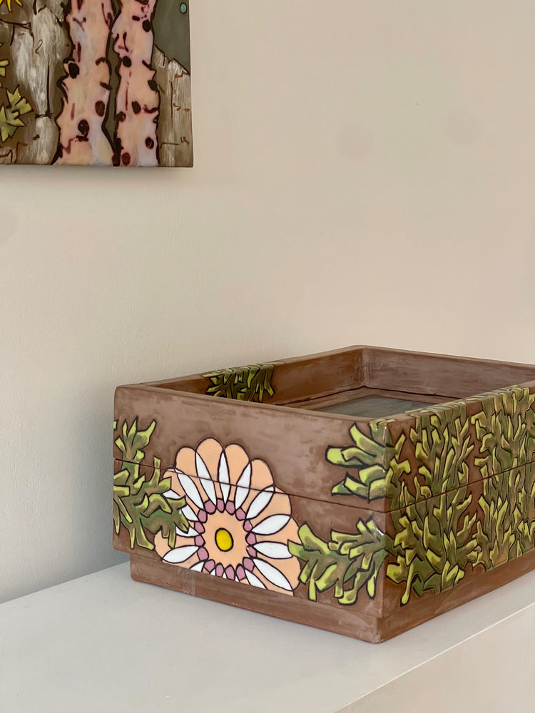 Collection Box